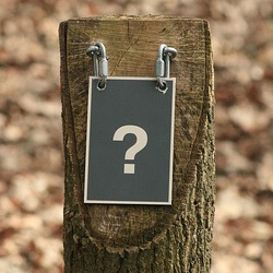 Question