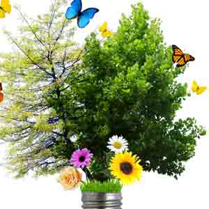 ecoimagefeatured
