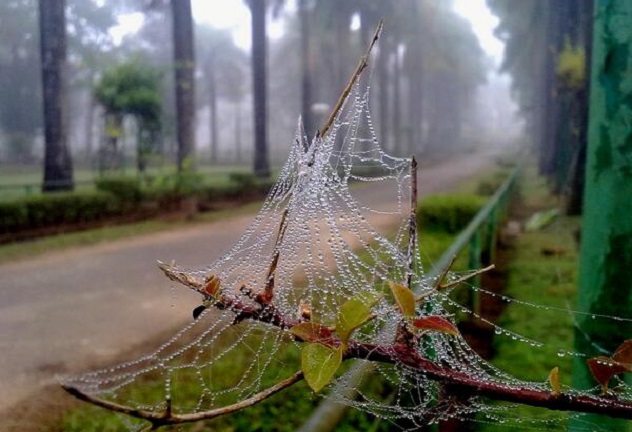1020day-web-isthyaq