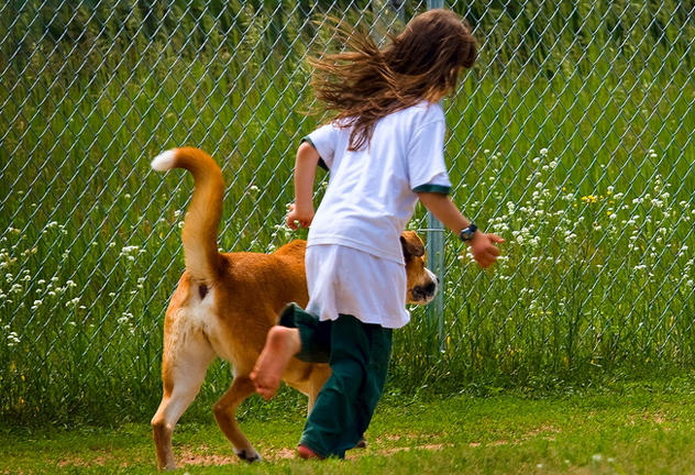 Kids-and-pets