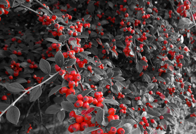 Lumia-shots-9_feat