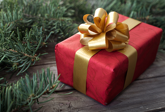 FEATholidaygifts2