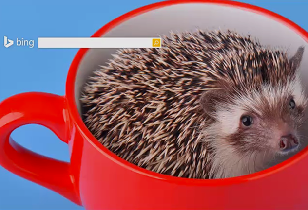 FEATcutecloud1