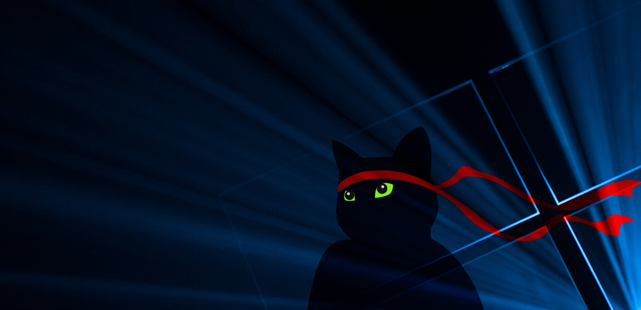 Ninja Cat wallpaper