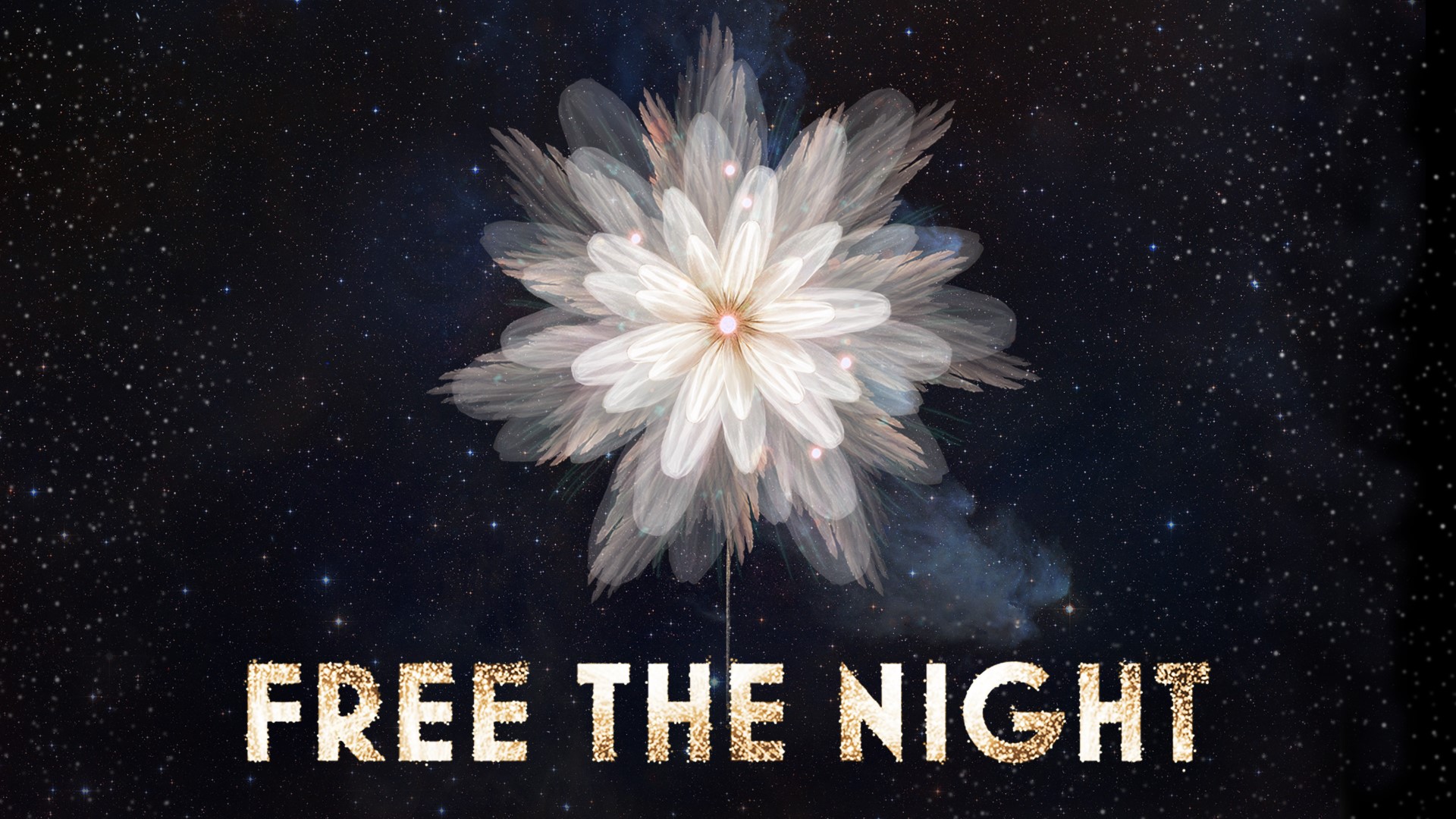 Free the Night