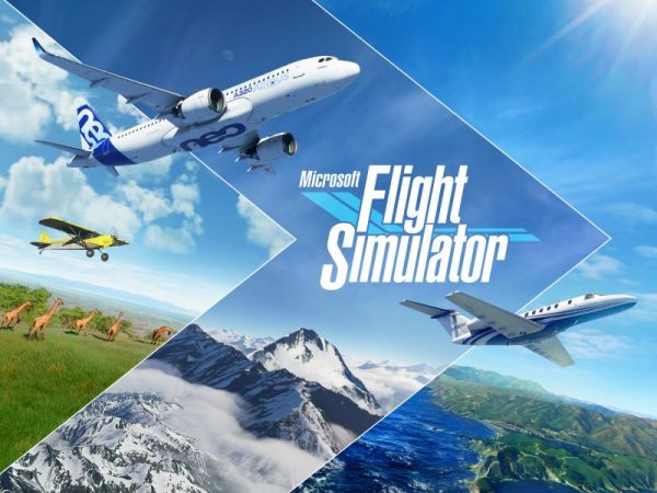 Flight Simulator title with jet passenger plane and other planes in background