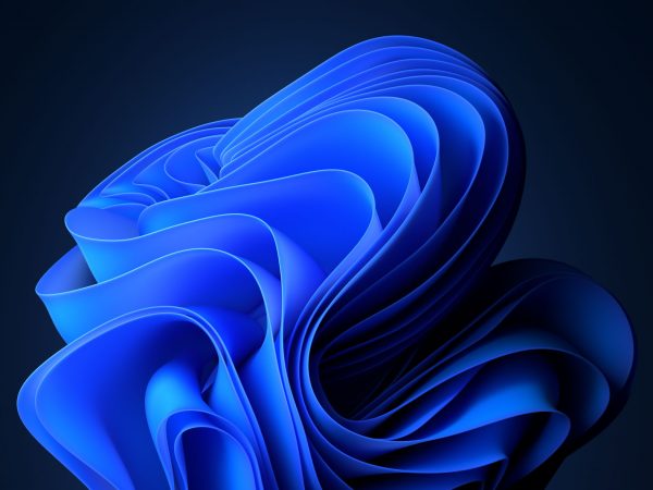 Windows 11 bloom graphic