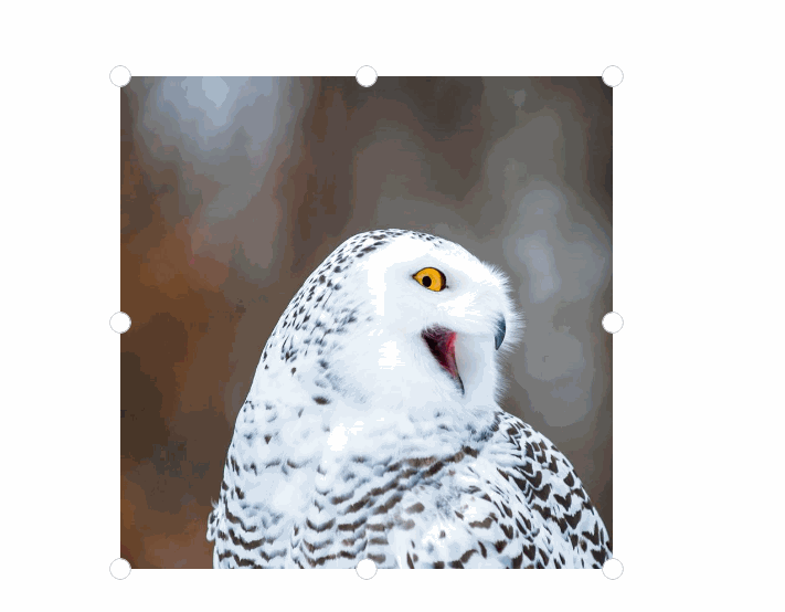 Image cropper gif