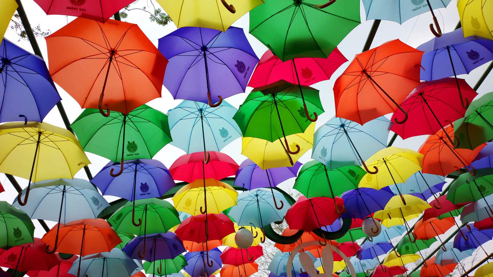 around the world in 80 lumias