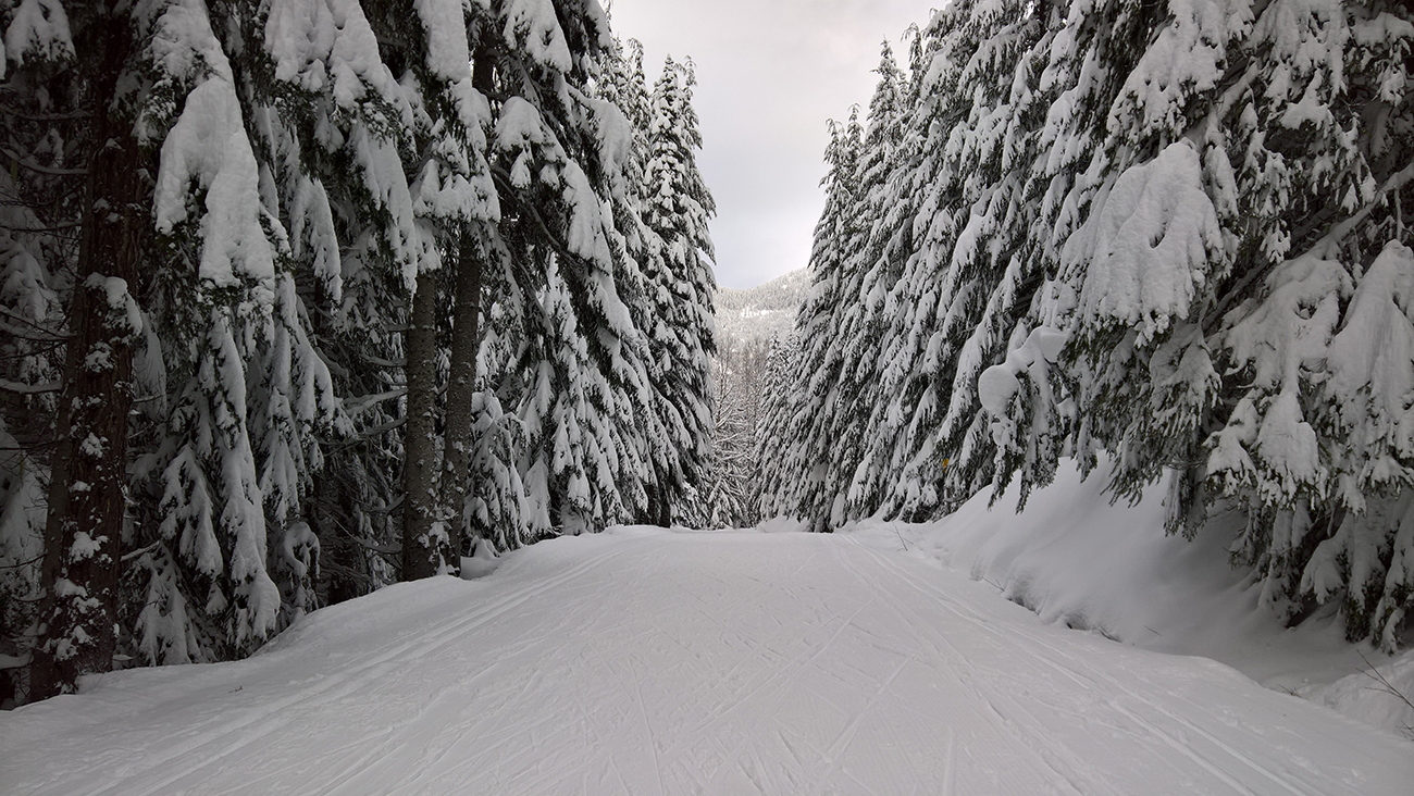 Winter at Stevens Pass, WA