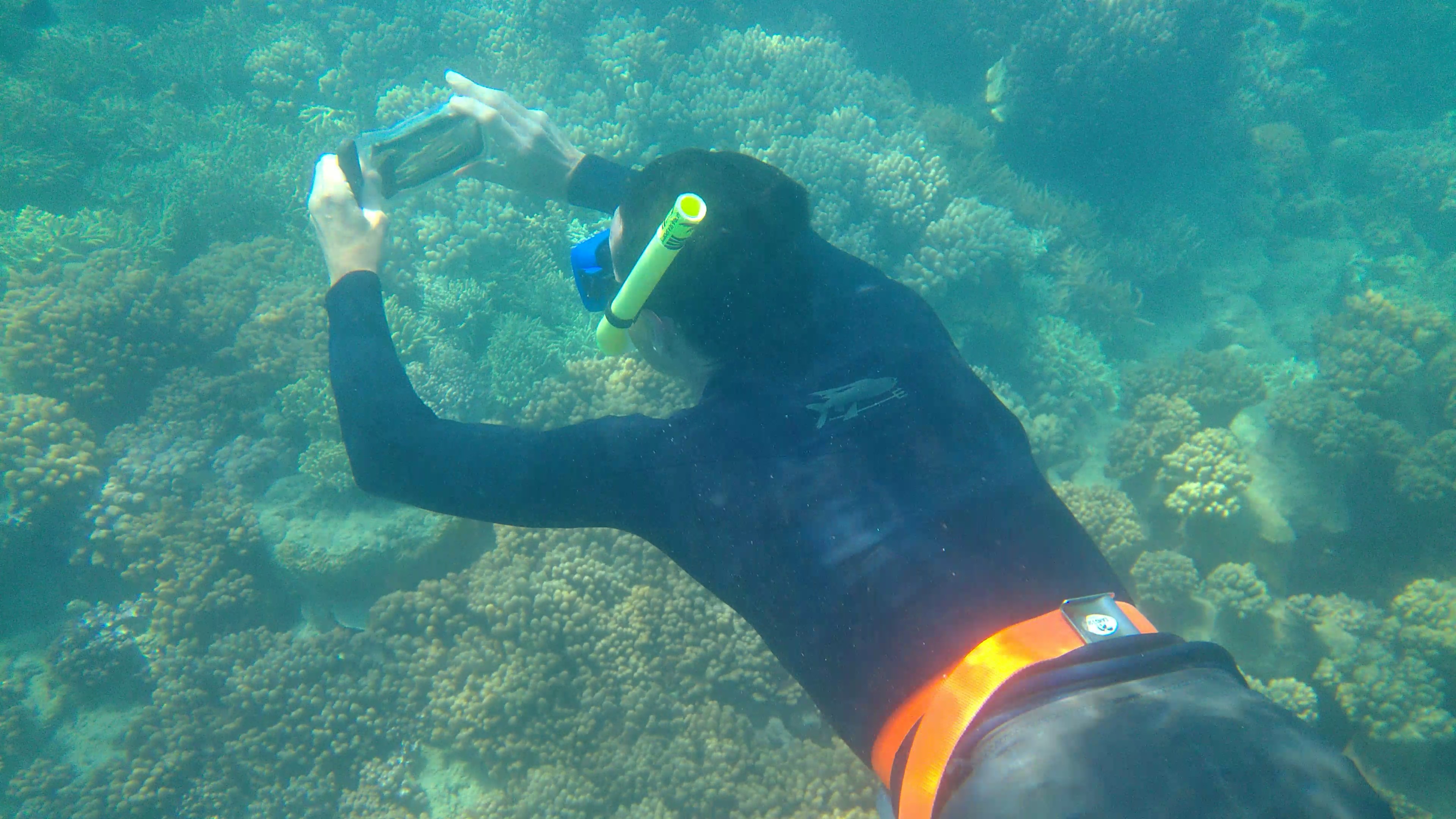 Great Barrier Reef 0969_Moment